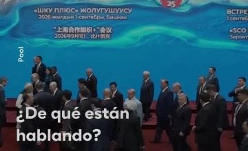 Absalón Opazo