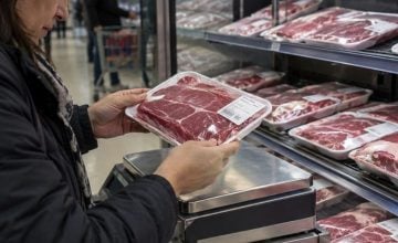 Der Bürger