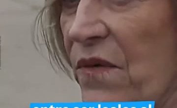 Seguel Alfredo