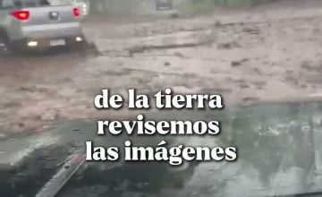 Seguel Alfredo