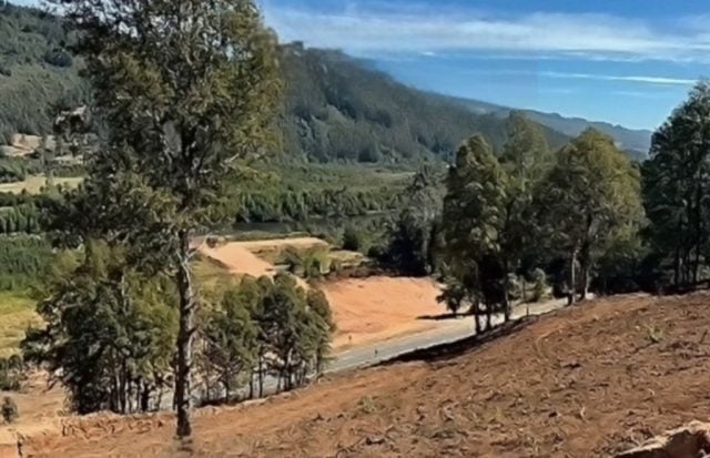 Destruyó un humedal para vender parcelas y evitará la cárcel: empresario recibe libertad vigilada y multa millonaria