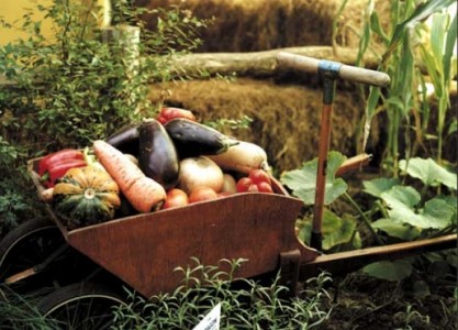 Impulsan Ecobarrios a partir de nuevas viviendas sociales en Lo Espejo