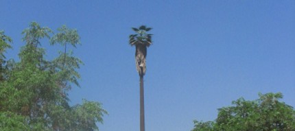 Vecinos cuentan qué hacer para que no le instalen una antena en su barrio