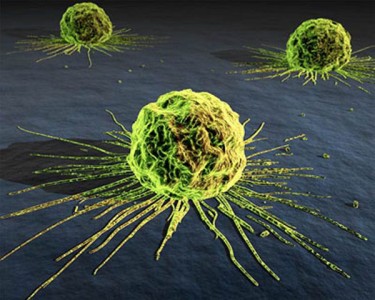 Foro de instituciones públicas-privadas busca soluciones para el cáncer en Chile