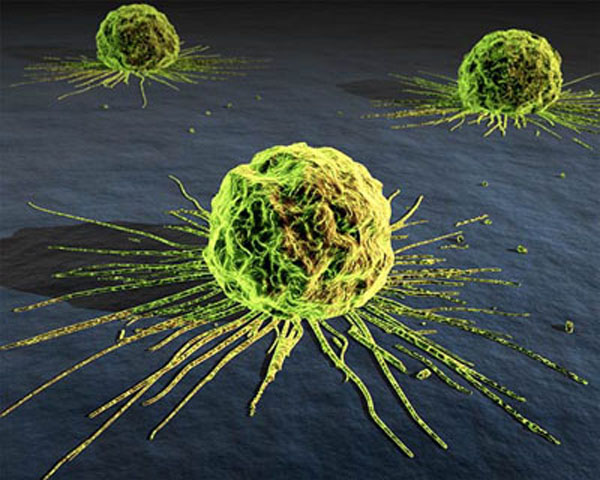 Descubren que células mutantes T pueden combatir el cáncer