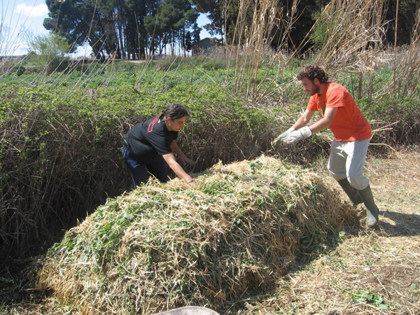 Ministerio del Medio Ambiente impulsa el compostaje en Magallanes