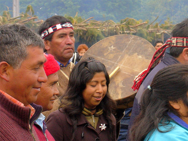 Justicia absuelve a siete mapuches acusados de hurtar madera a Forestal Mininco