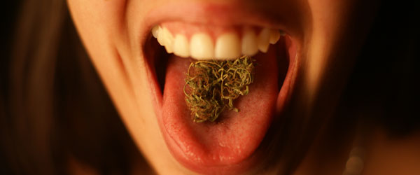 Marihuana: Uruguay desmiente que autocultivo utilice semillas transgénicas de Monsanto