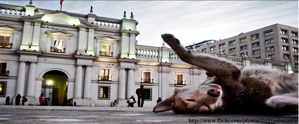 Chile: El realismo político y la crisis institucional