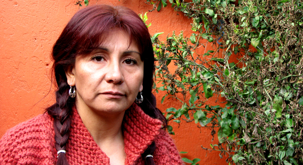 Roxana Miranda: que el recetario de Lavín sea obligatorio en el Congreso y La Moneda