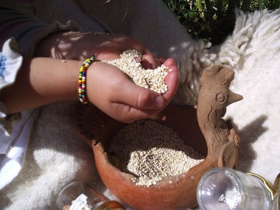 Camila Zárate y los movimientos de soberanía alimentaria: «La nueva constitución debe fomentar el desarrollo de la agricultura campesina y la soberanía alimentaria»